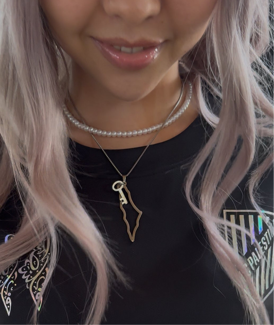 Stainless Steel Palestine Map Outline With Key Charm Necklace